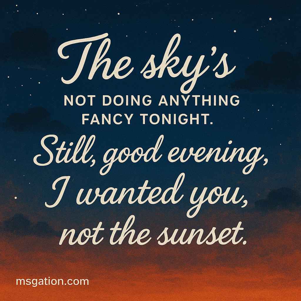 The sky’s not doing anything fancy tonight. Still, good evening, I wanted you, not the sunset.