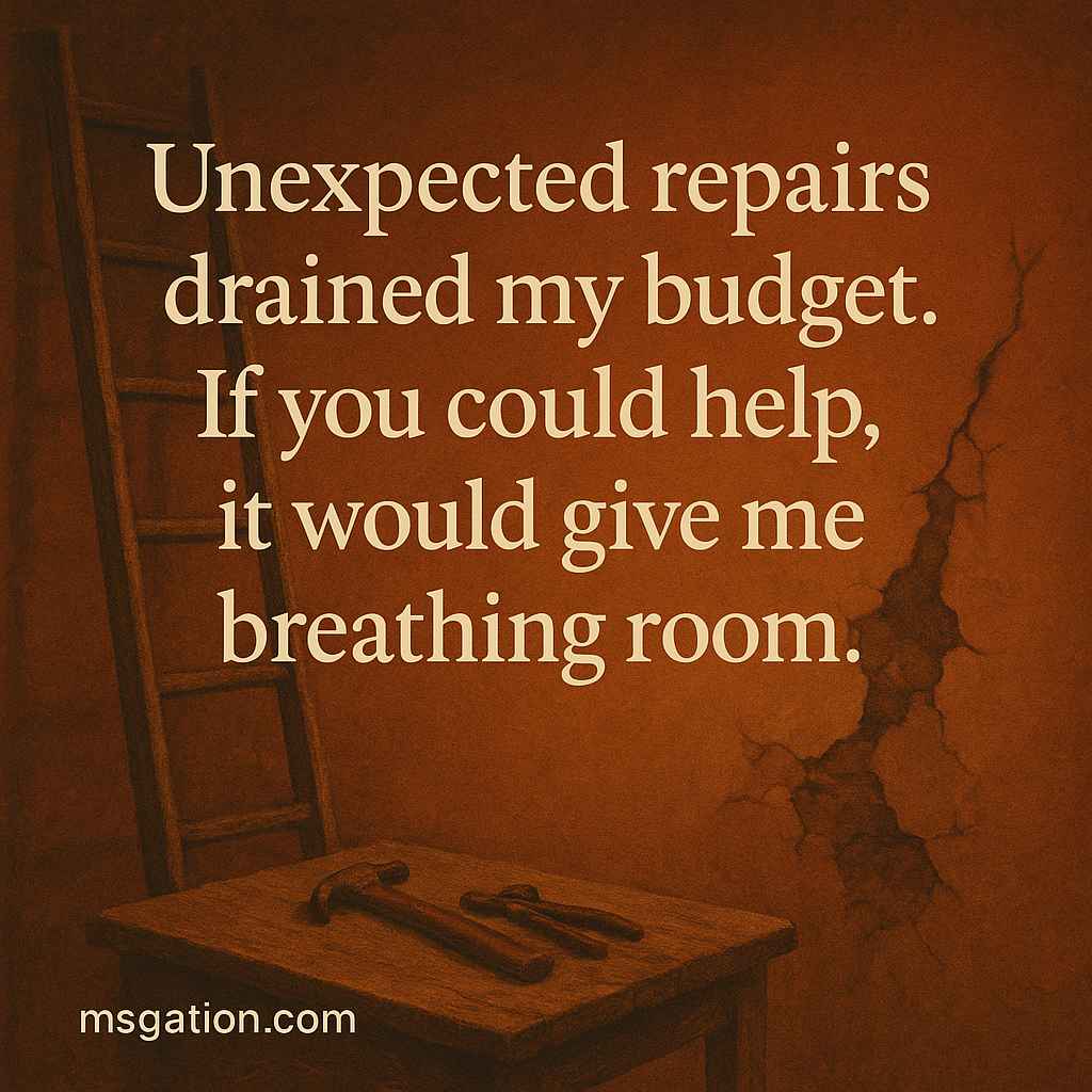 Unexpected repairs drained my budget. If you could help, it would give me breathing room.