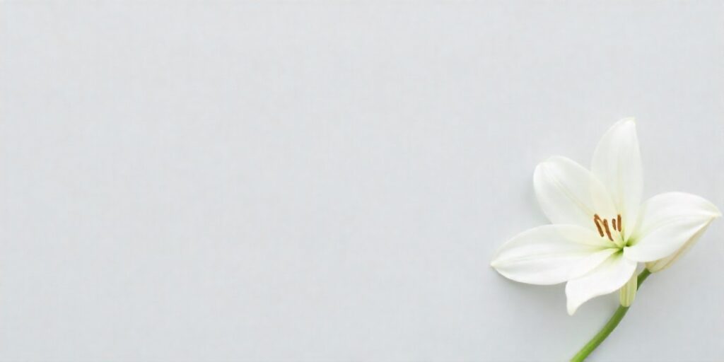 Best 40+ Bereavement Out-Of-Office Messages White lily on gray background representing bereavement out-of-office message.