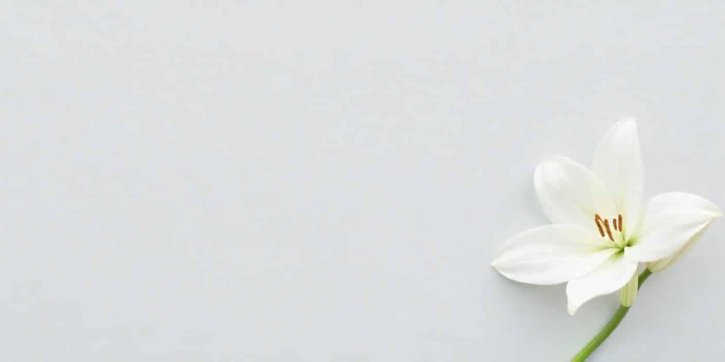 White lily on gray background representing bereavement out-of-office message.