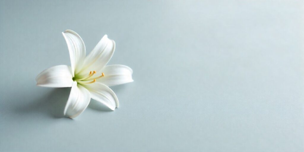 60+ Condolence Messages for Loss of Daughter White lily flower representing condolence and sympathy for loss of daughter.
