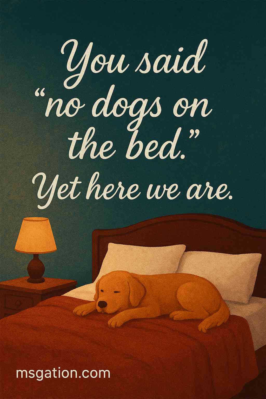 You said “no dogs on the bed.” Yet here we are.