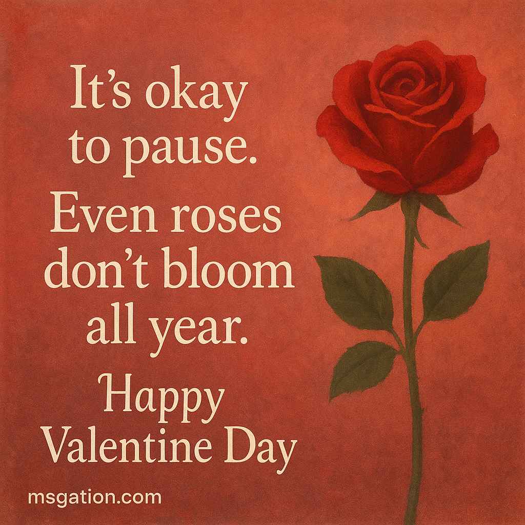 It’s okay to pause. Even roses don’t bloom all year. Happy Valentine Day.