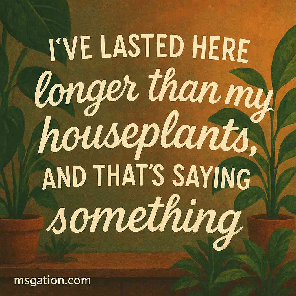 I’ve lasted here longer than my houseplants, and that’s saying something.