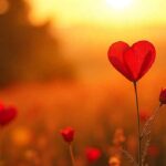 Inspirational Valentine hearts and love message cards on a glowing background.